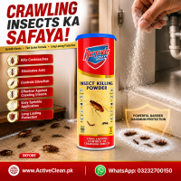Insect Killing Powder (60gm) 